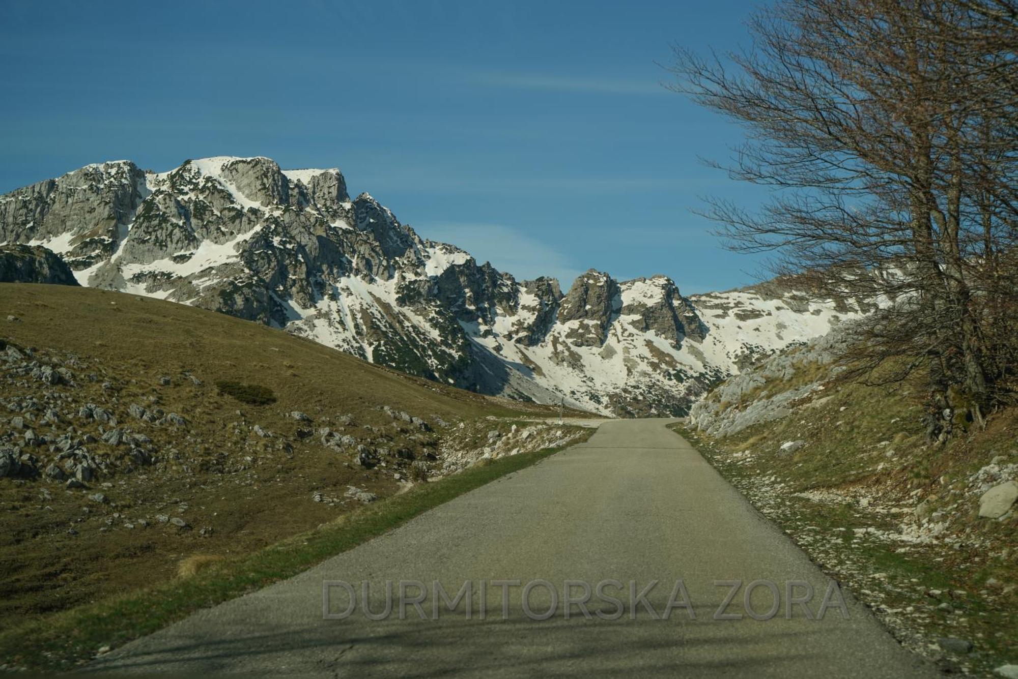Durmitorska Zora Vila Žabljak Exterior foto